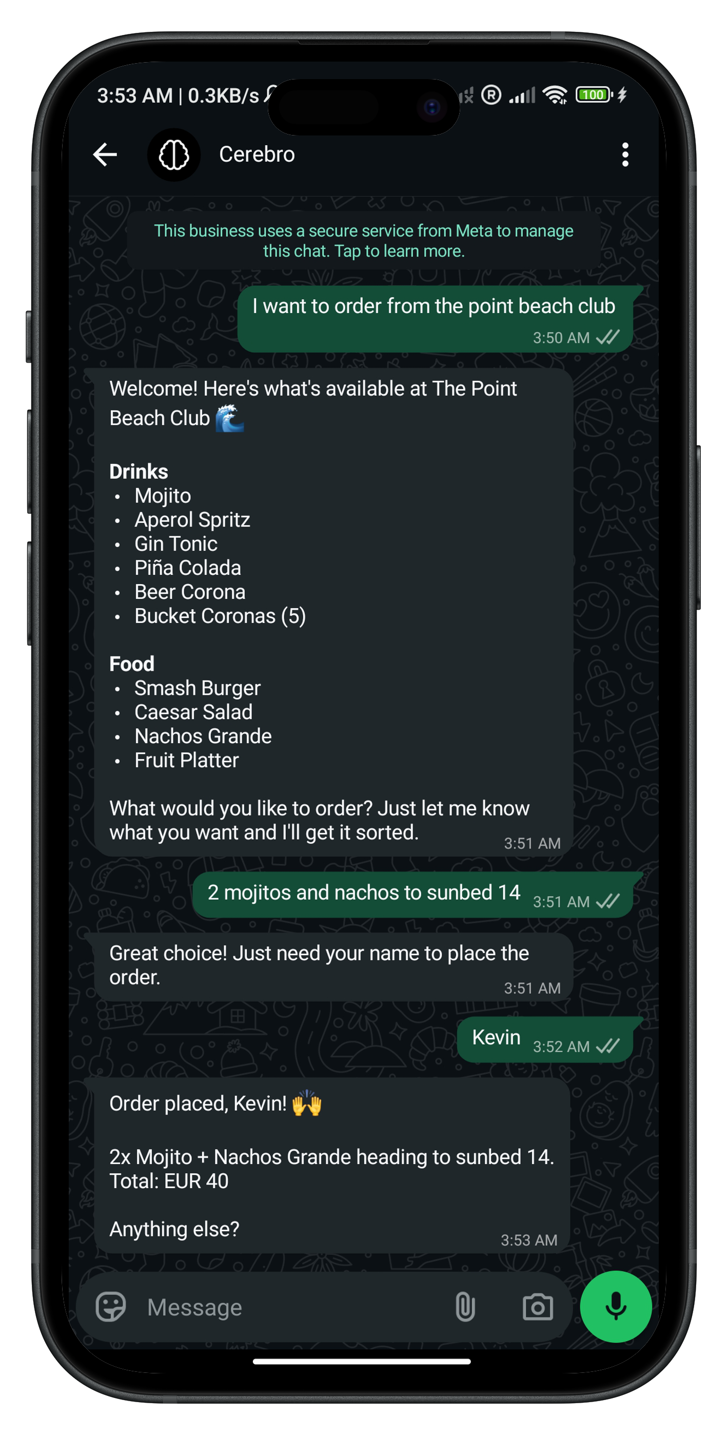WhatsApp conversation with Cerebro